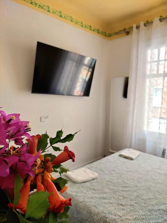 N1 Casa de Madrid - greenpeace line - Resim 44