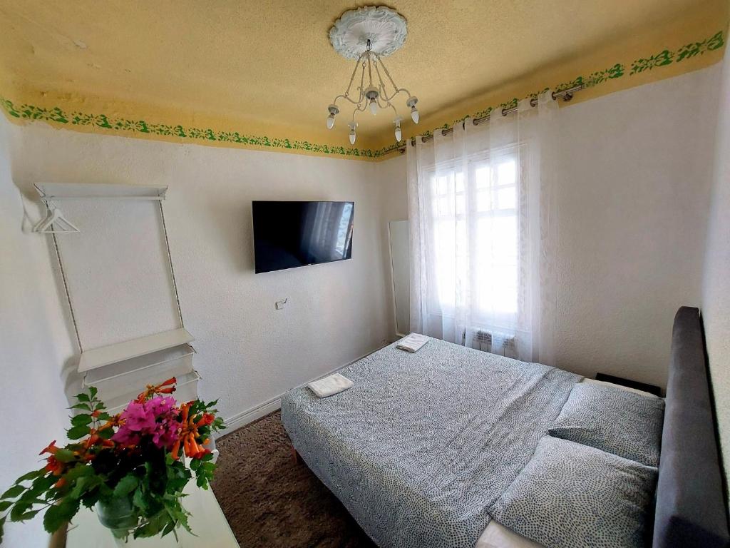 N1 Casa de Madrid - greenpeace line - Resim 24