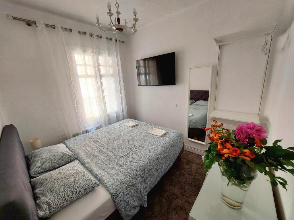 N1 Casa de Madrid - greenpeace line - Resim 36