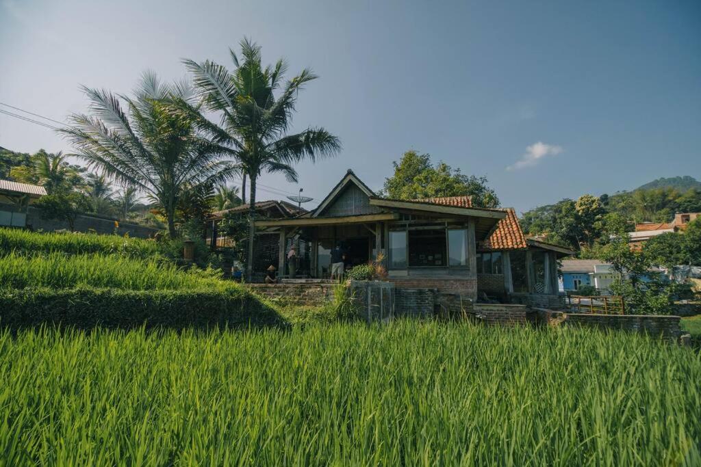 a small house in a field of tall grass at Villa Cetok Syariah - Nuansa Pedesaan in Simpen