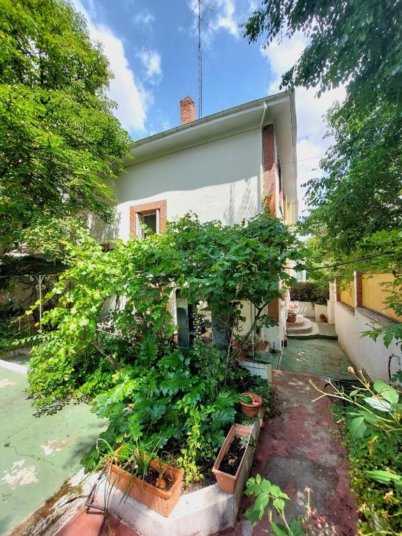 N1 Casa de Madrid - greenpeace line - Resim 29