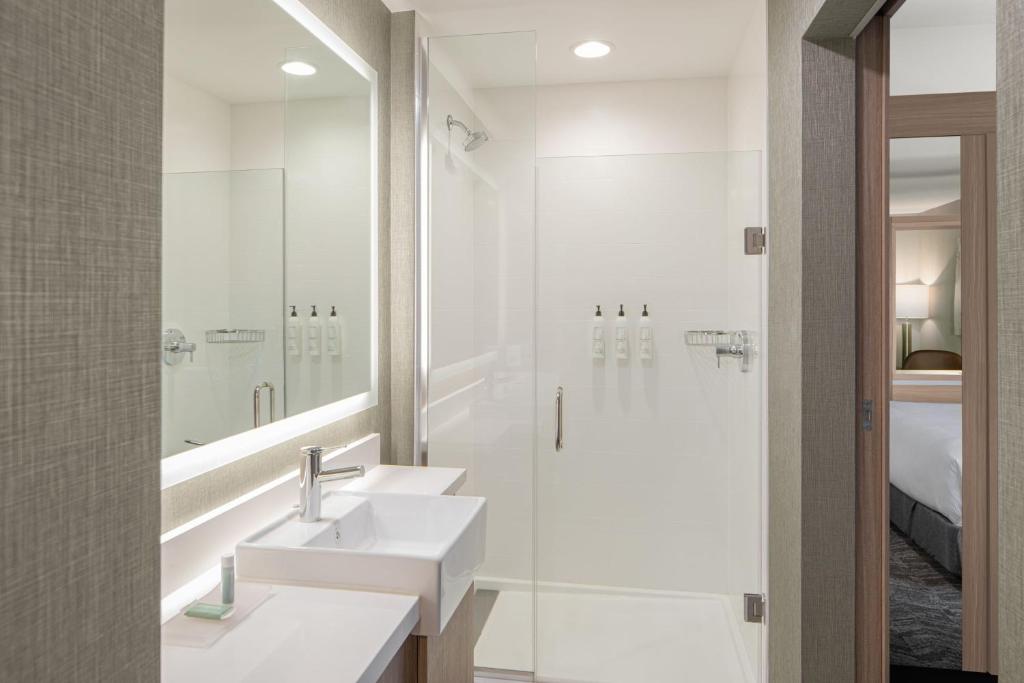 SpringHill Suites by Marriott Columbia near Fort Jackson photo