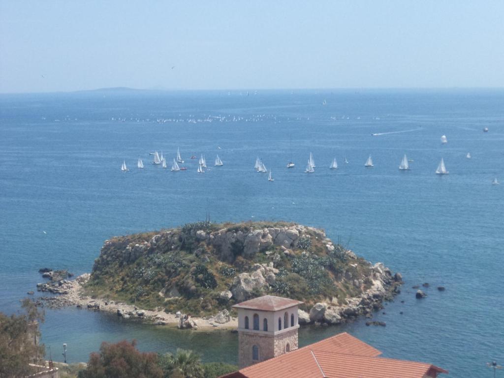 Cavo D' Oro - Resim 14