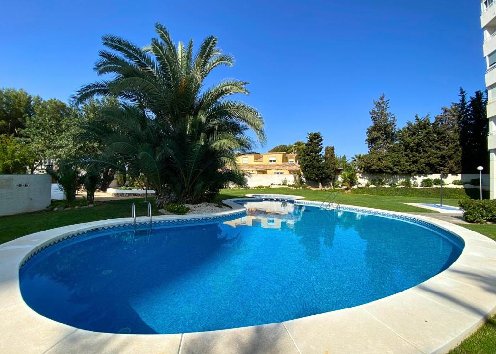 a large blue swimming pool in a yard with a palm tree at Cozy apartment Benidorm Poniente 5 min from the beach in Benidorm