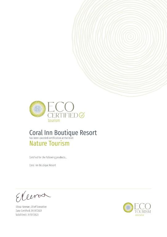 Certifikát, hodnocení, plakát nebo jiný dokument vystavený v ubytování Coral Inn Boutique Resort