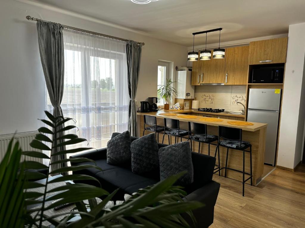 a living room with a couch and a kitchen at Apartament Elena in Sibiu