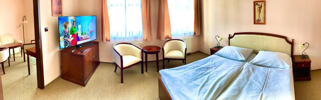 Hotel Bílý Beránek Kralovice - Appartement D'une Chambre