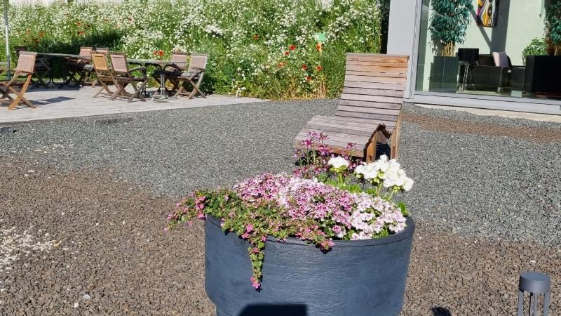 Zahrada ubytování Seehotel