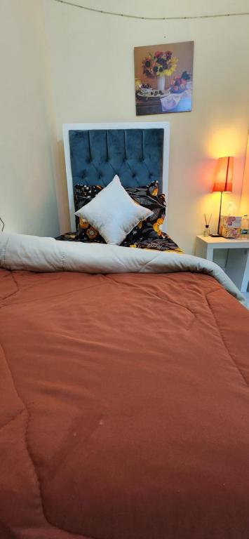阿布達比的住宿－Uniqueland，一间卧室配有一张带红色毯子的床