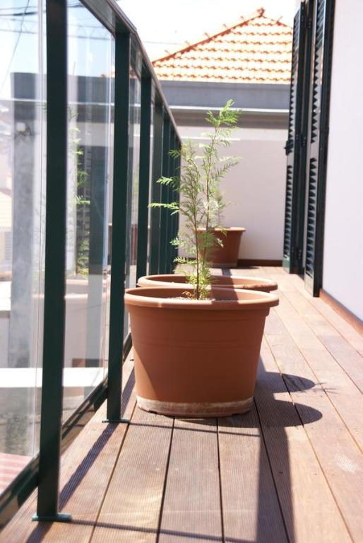 Carvalhal Old Town - 8