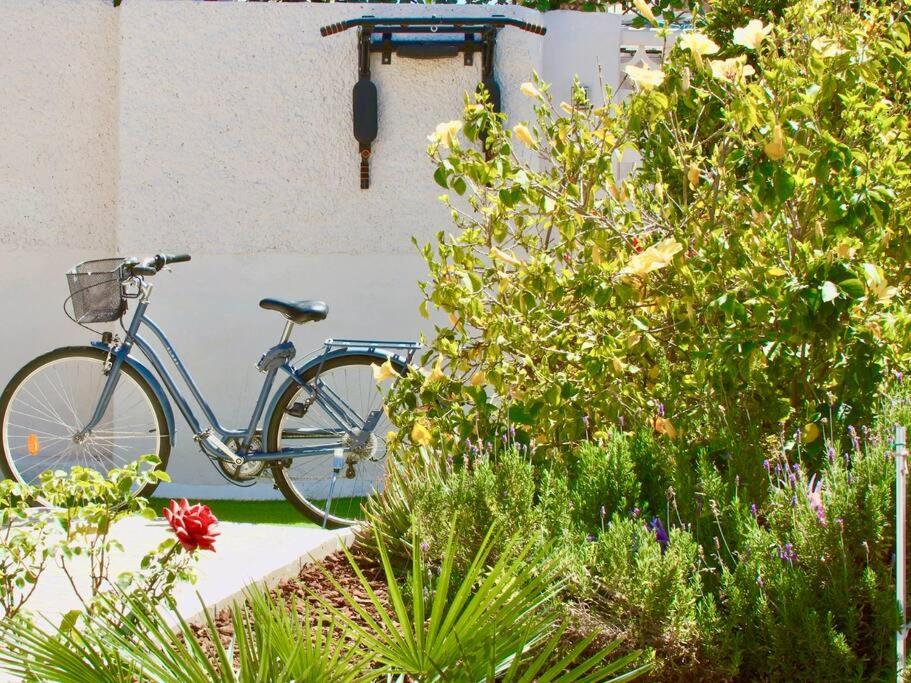 Jazda na bicykli v okolí ubytovania Entire Villa by the sea with private garden and mini pool