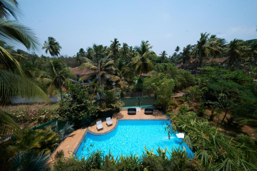 Bazén v ubytování Fig House Anjuna-Chapora Road , Siolim 1BHK Suite nebo v jeho okolí