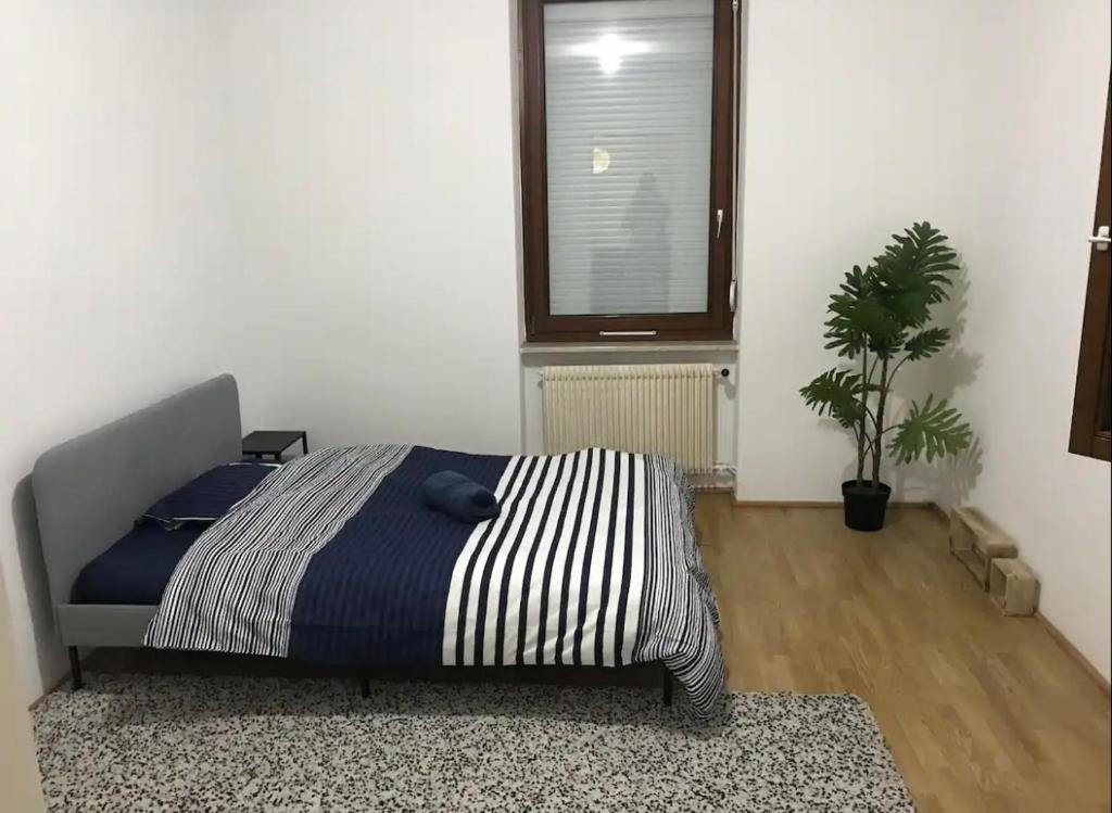 - une chambre avec un lit, une fenêtre et une plante dans l'établissement Appartement Spacieux à 10 min du centre, à Strasbourg