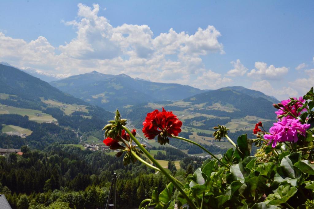Príroda v okolí apartmánu