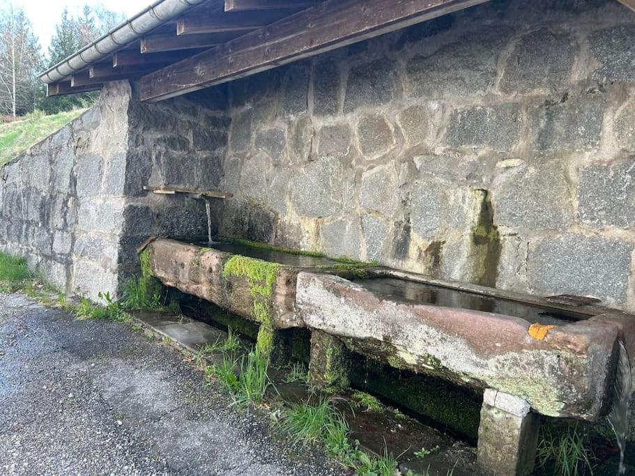 an old stone wall with moss on it at Le Repère des Quatre Dubois in Le Tholy