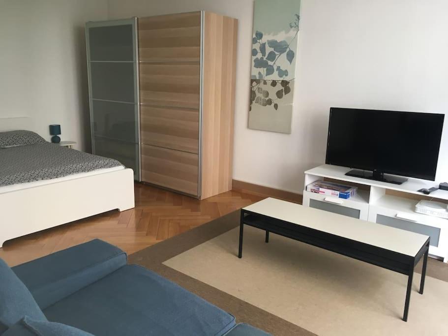 een woonkamer met een bank en een tv bij Appartement meublé proche de la Gare de Lausanne 12 in Lausanne