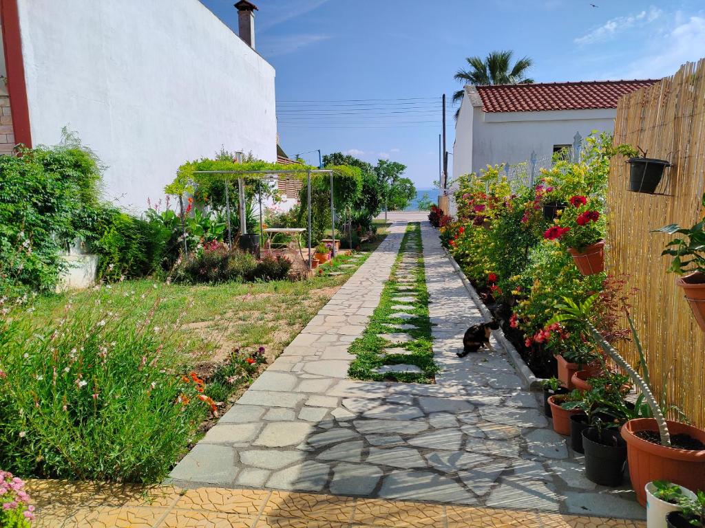 Zahrada ubytování ANNAS HOUSE