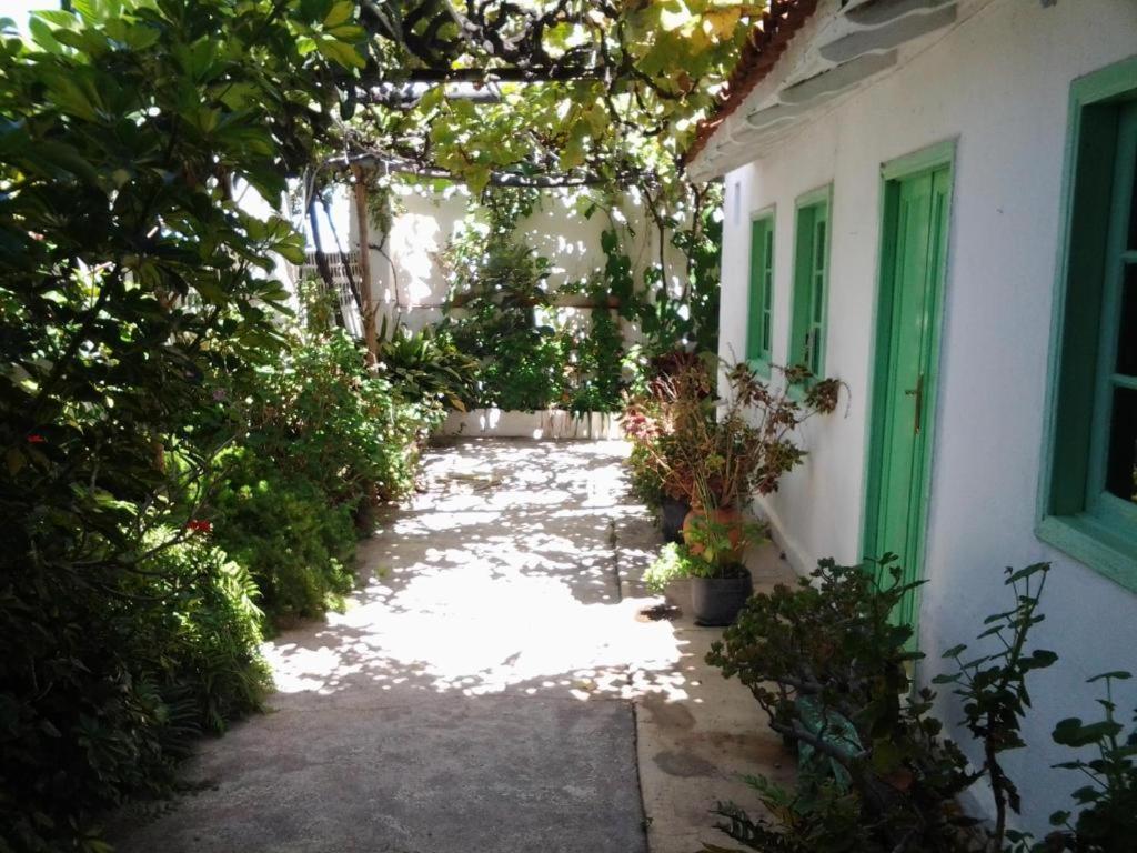 a walkway leading to a white building with plants at Casa Rural Merche in Chío