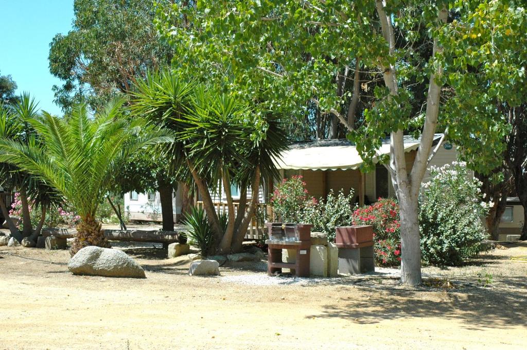 einen Garten mit Bäumen und Pflanzen vor einem Haus in der Unterkunft Location du Ranch in Algajola