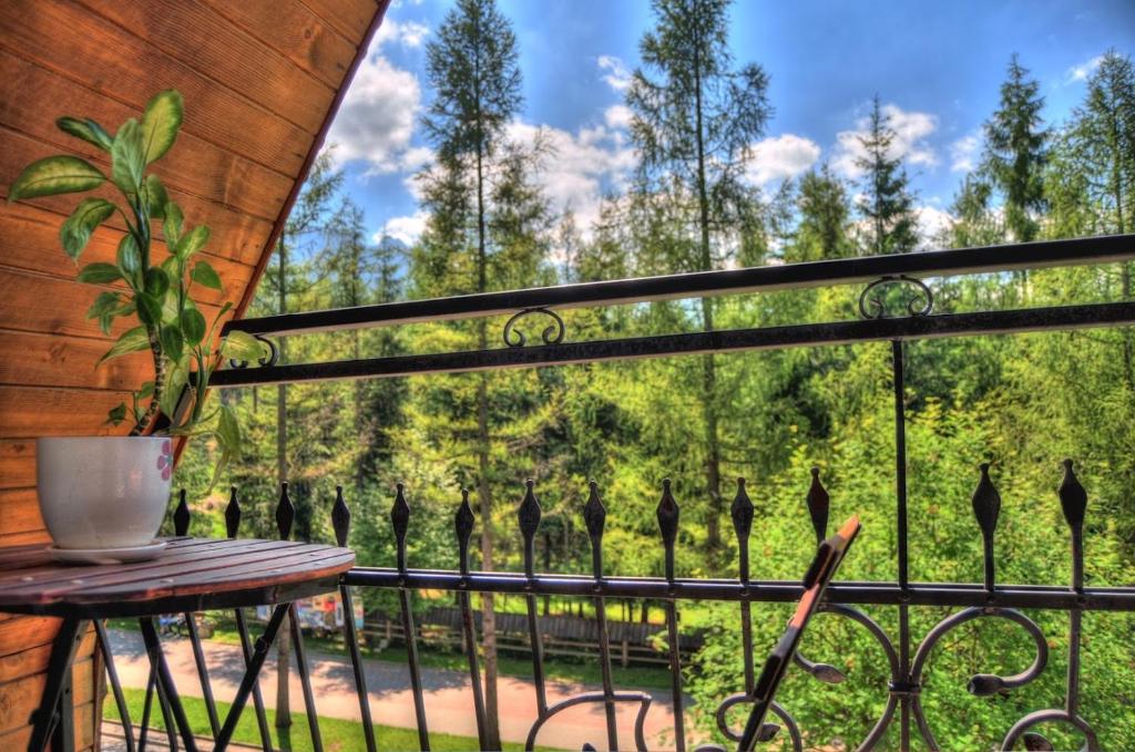 Willa Karpinskich - 13