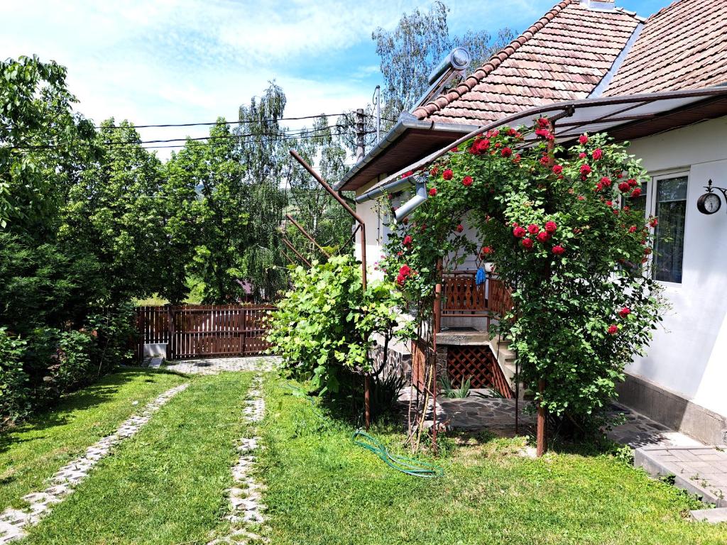 ein Haus mit einem Garten mit roten Rosen darauf in der Unterkunft Casa de vacanta Zsenik Vendeghaz in Sovata