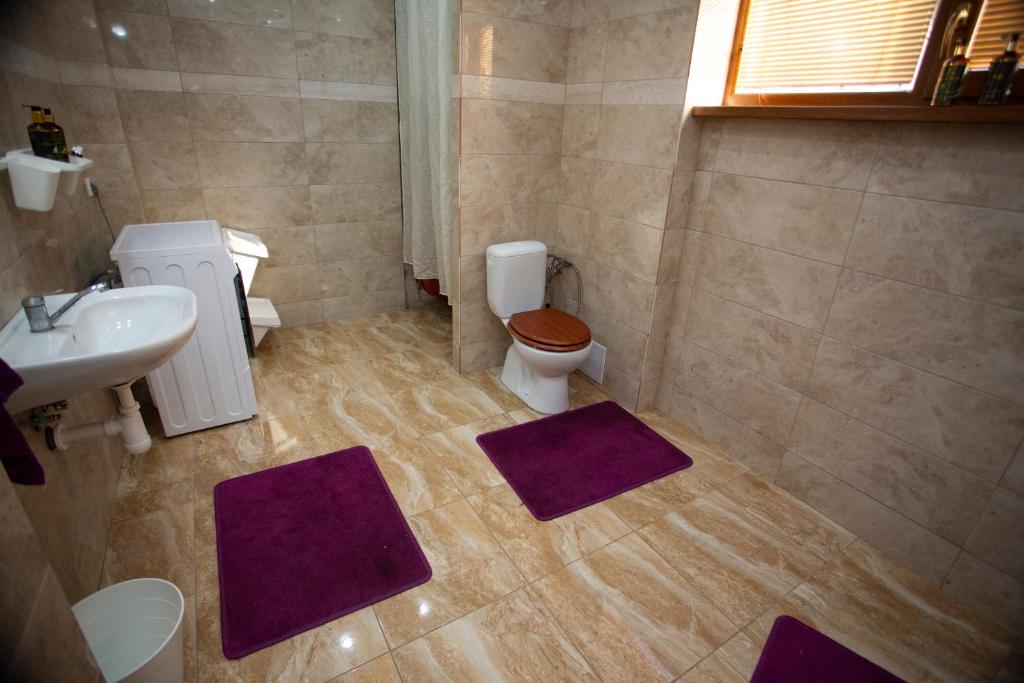 Koupelna v ubytování AG Apartment Gabčíkovo