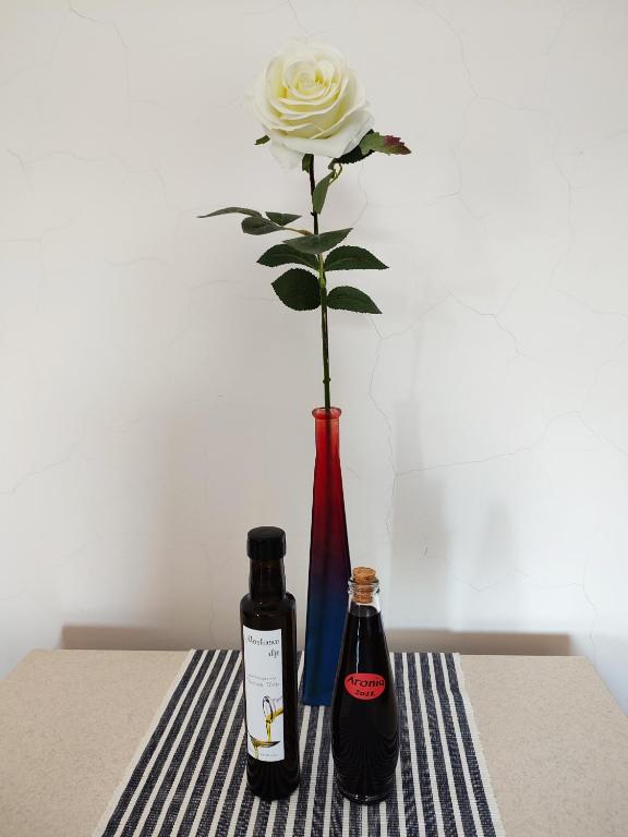 Napoje w obiekcie Apartmani Ela