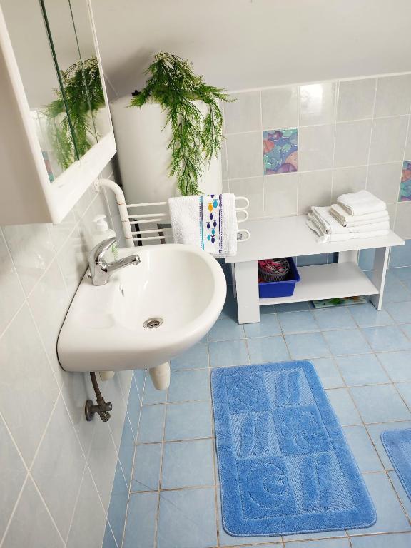 łazienka z białą umywalką i niebieskim dywanem w obiekcie Apartmani Ela w Bibinje