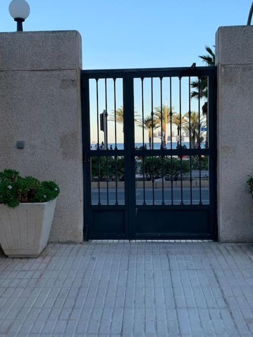 a black door with a plant in front of it at Apartamento Alicante San Juan playa 1ª línea in Benimagrell