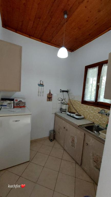 Kuchyň nebo kuchyňský kout v ubytování Katerina Fotopoulos Rooms & Apartments - Papanero com