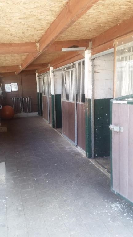 Fotografie z fotogalerie ubytování King of Gold Stables appartement met stalling voor 5 paarden v destinaci Zutendaal