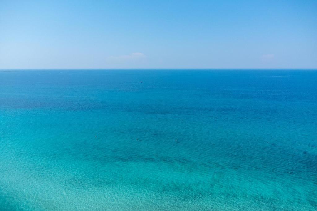 Táj Show holiday homes közelében