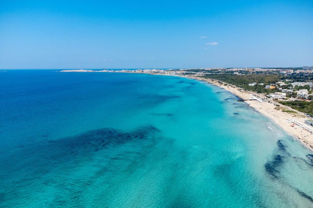 Táj Show holiday homes közelében