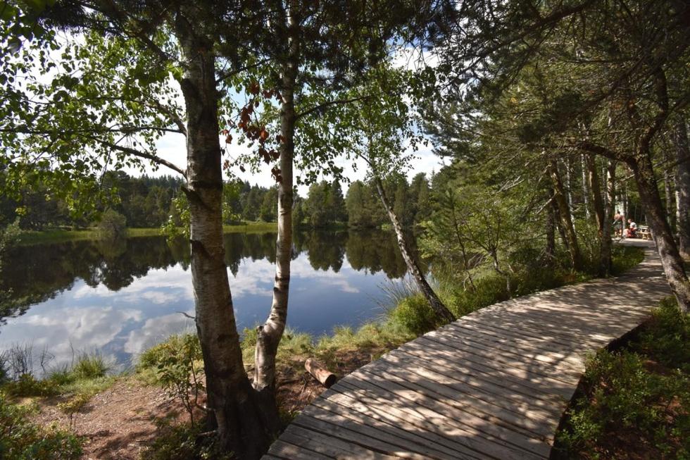 Příroda nedaleko apartmánu