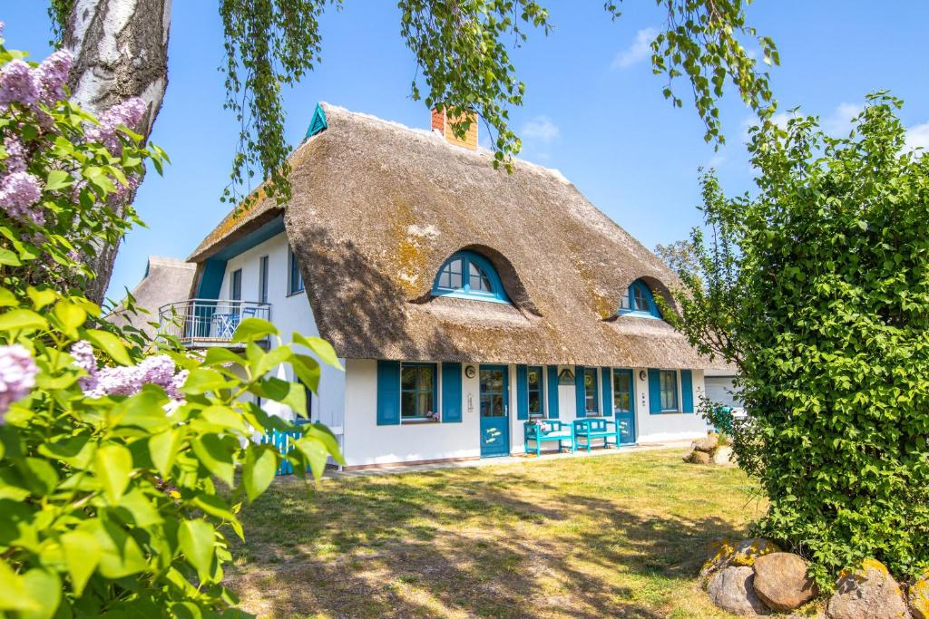 a thatched cottage with a blue door and windows at Haus Hansi in Wieck