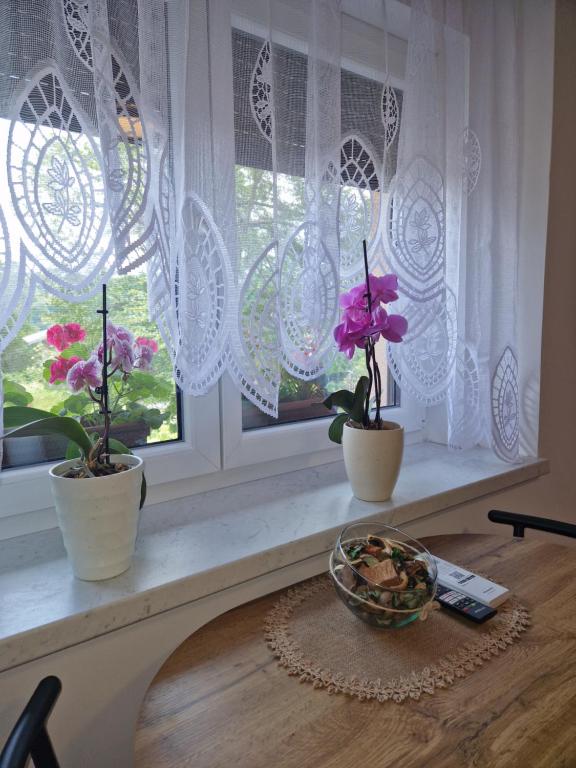 Fotografie z fotogalerie ubytování Greg's Rooms v destinaci Ilirska Bistrica