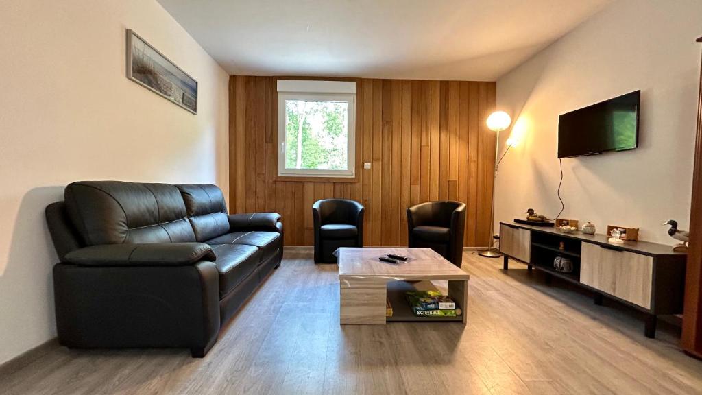 TV a/nebo společenská místnost v ubytování Chalet avec terrasse sur pilotis vue sur l'étang