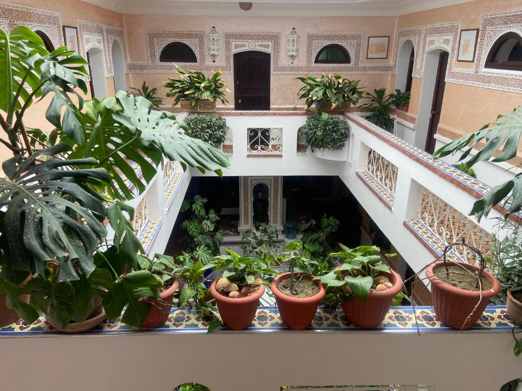 Fotografie z fotogalerie ubytování Riad Salt River v destinaci Martil