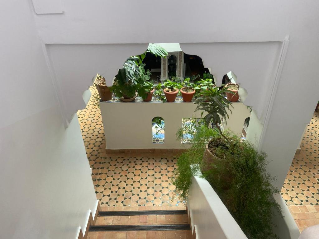 Fotografie z fotogalerie ubytování Riad Salt River v destinaci Martil