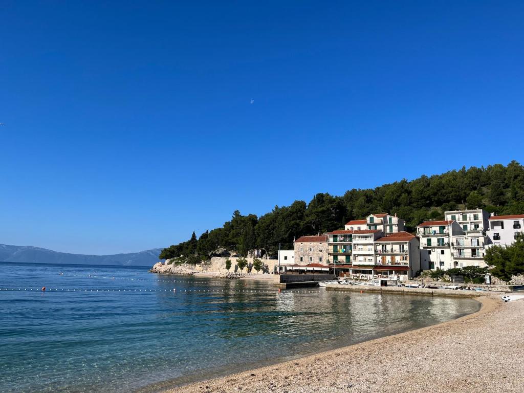 Príroda v okolí apartmánu