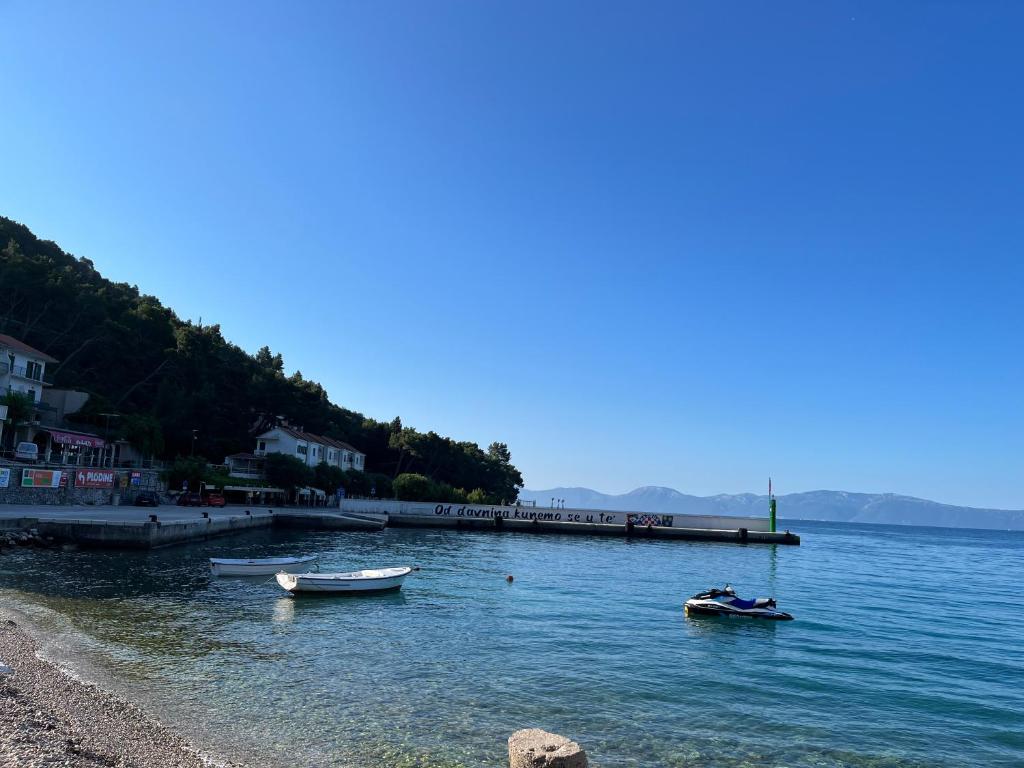 Príroda v okolí apartmánu