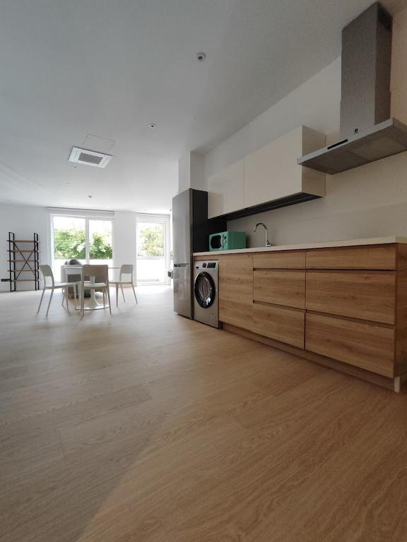 Kuchyňa alebo kuchynka v ubytovaní Apartamentos Pillotegi parking gratuito