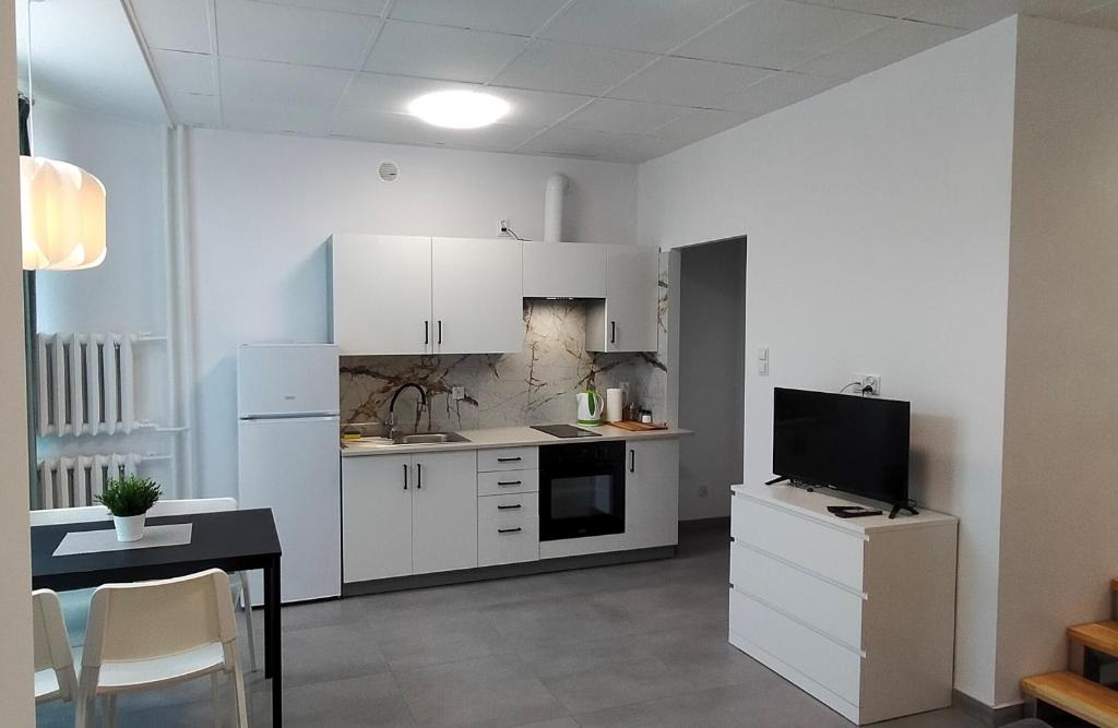 Kuchyňa alebo kuchynka v ubytovaní Apartamenty Częstochowa