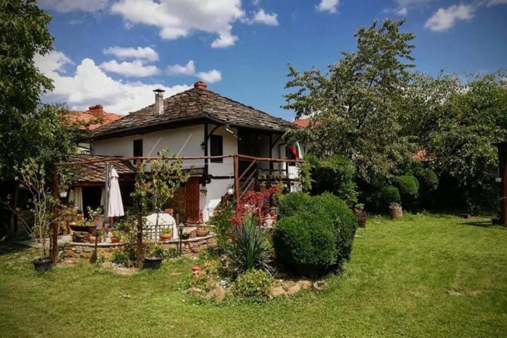Guest House 