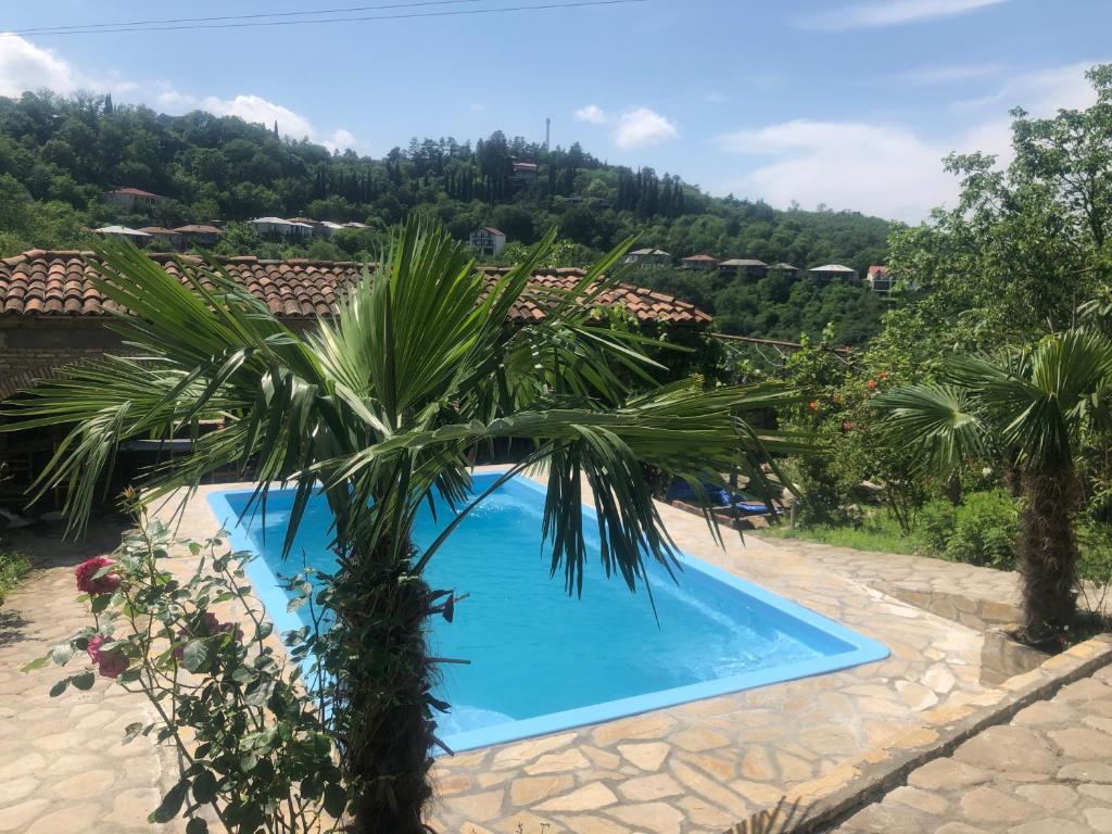 Bazén v ubytování Mate Guesthouse nebo v jeho okolí
