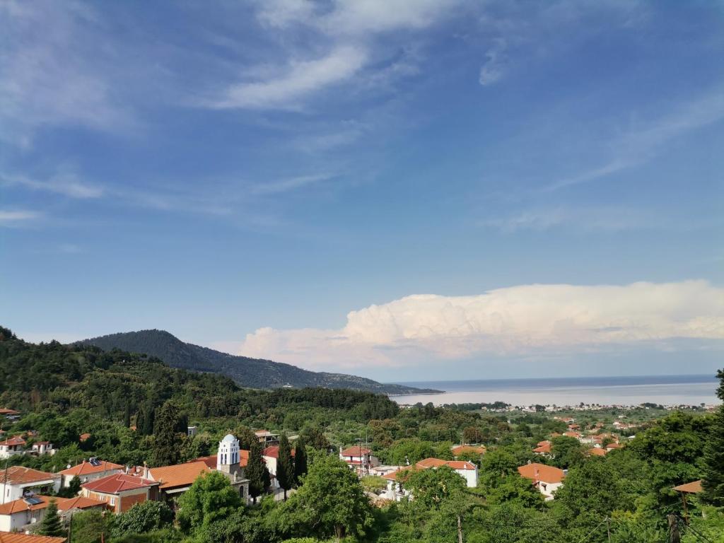 a view of a town with trees and the ocean at Ioanna's Apartment in Potamia