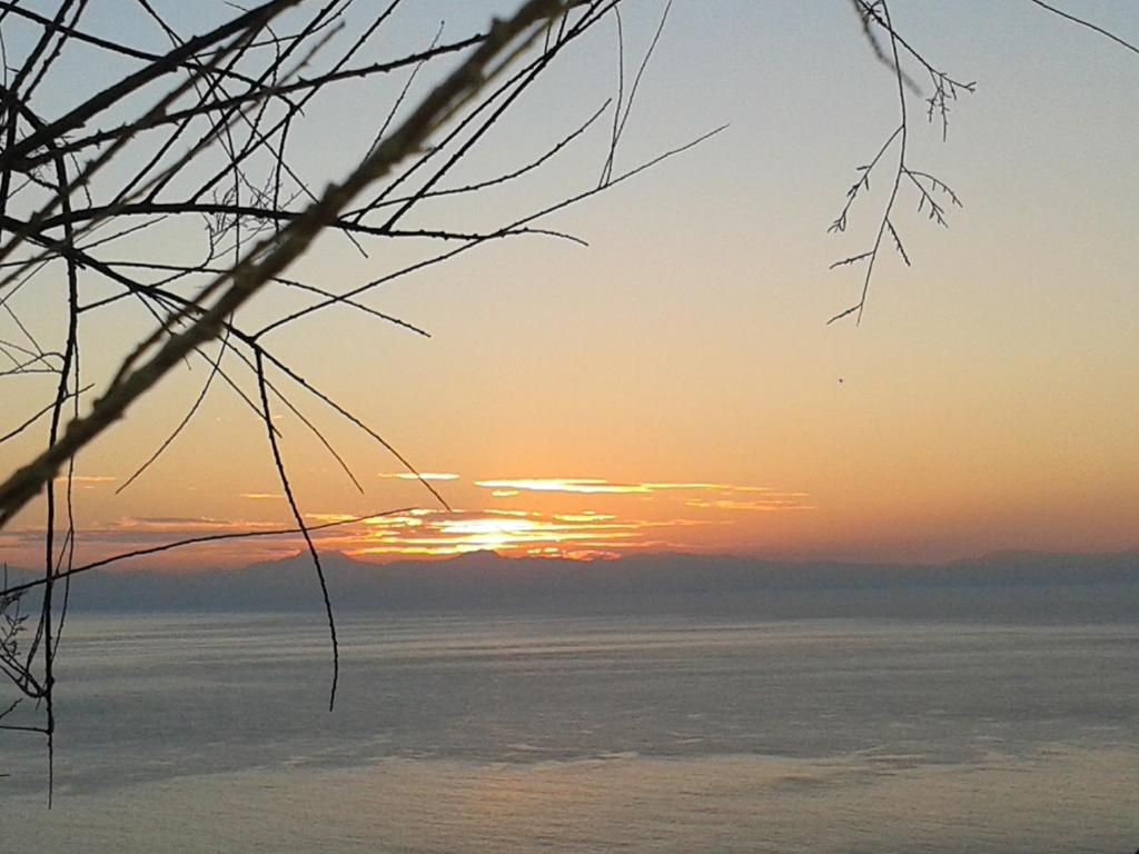 a sunset over the water with a tree branch at Casa Gabriella in Fetovaia