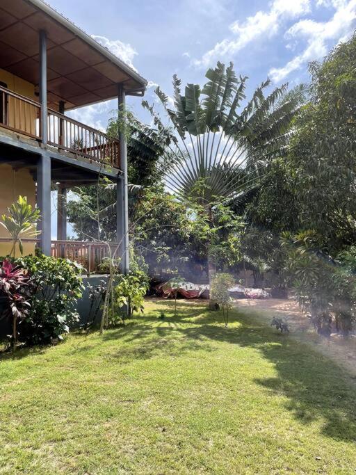 un cortile con una casa e una palma di Villa calme - Jardin Tropical - Kpalimé a Palimé