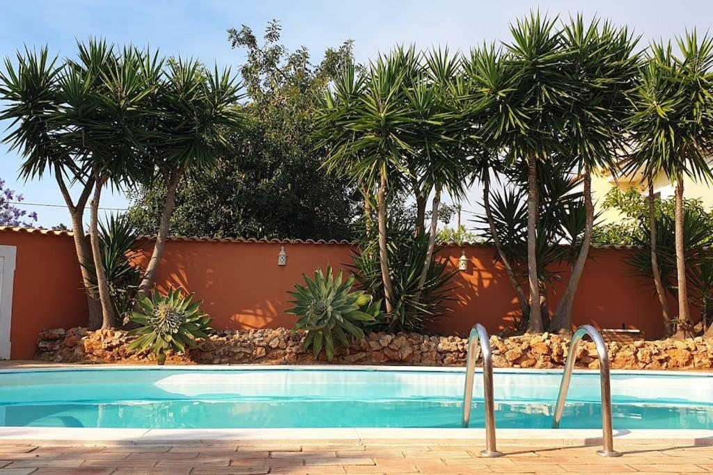 una piscina con palmeras frente a una casa en Villa dos Patudos, en Faro