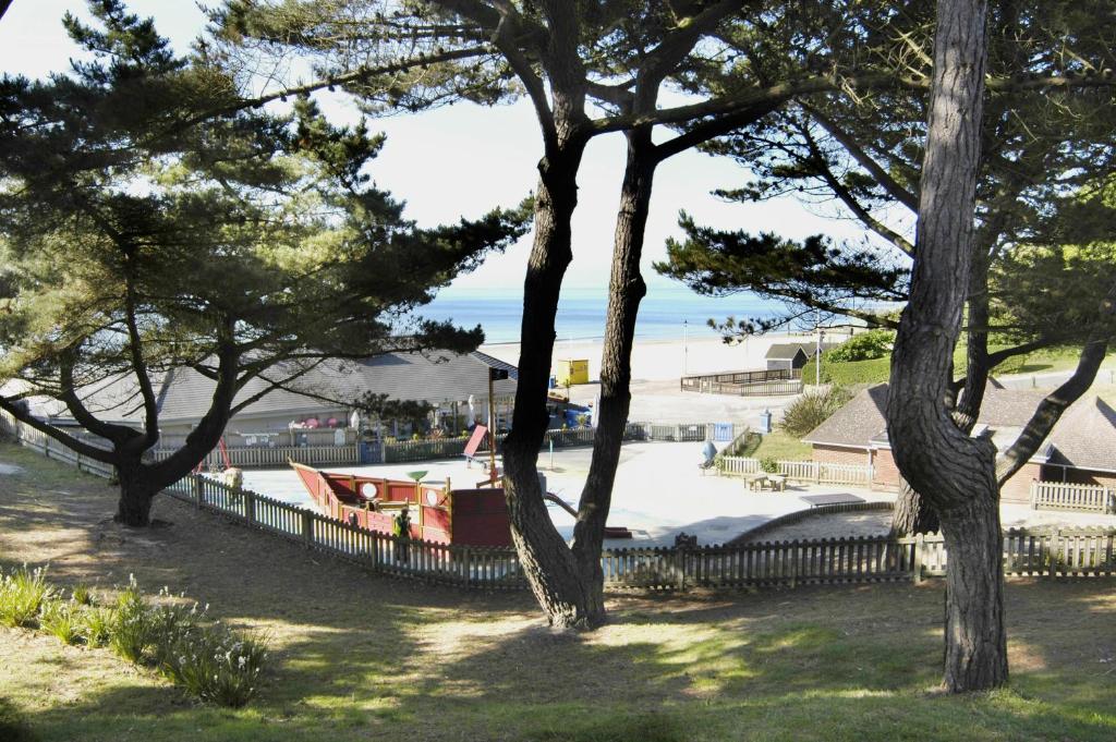 The Riviera Hotel & Apartments - Alum Chine - Resim 40